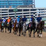 2026 Holy Bull Stakes Cheat Sheet