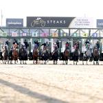 2026 Jeff Ruby Steaks at a Glance