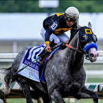 2026 Haskell Stakes Cheat Sheet