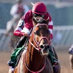 2026 Breeders’ Cup Classic Cheat Sheet