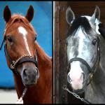 SLIDESHOW: Get to Know the 2026 Haskell Stakes Contenders