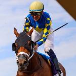 2026 Preakness Stakes Cheat Sheet