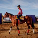 Fresh and Fit Forever Young an Easy Winner in Return Race, Breeders’ Cup Classic Next