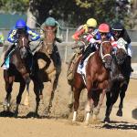 2025 Champagne Stakes at a Glance