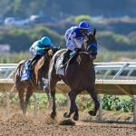 Nysos rolls at Del Mar, Lovesick Blues Upsets Bing Crosby Stakes