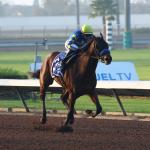 2026 Kentucky Derby Prospect Profiles: Los Alamitos Futurity Winner Litmus Test