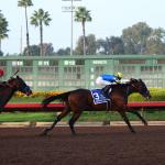 Litmus Test Aces It in Los Alamitos Futurity