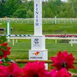 Preakness Result Could Shake Up Triple Crown Power Rankings