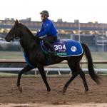Andrew Champagne’s Live Longshots and Value Bets for Breeders’ Cup Weekend