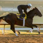 2026 Breeders’ Cup Classic Analysis: Why Sovereignty is the Top Pick