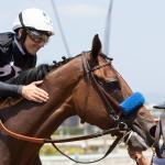 ‘A Dream Come True’: MyRacehorse Shareholders Smitten With Seismic Beauty