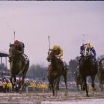 Breeders’ Cup Fantastic Finishes: Epic Rally for Perfection