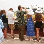 ABR Sunday Selections: Full-Card Picks for Feb. 15 at Gulfstream Park