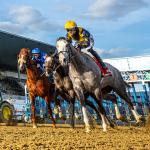 Noel’s Weekend Winners: Value Plays Saturday at the Big A