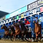 Where to Watch/Listen: Horse Racing Coverage Dec. 3-7