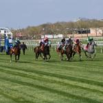 Noel’s Weekend Winners: Mid-November Marquee Stakes at Aqueduct