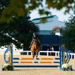 Thoroughbred Aftercare Alliance Announces New Strategic Plan