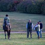 Five Things You Need to Know Before Adopting an OTTB