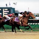 Simply Awesome: 1998 Breeders’ Cup Classic Winner Built Legacy On and Off the Racetrack