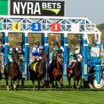 Backing a Fast-Rising Turf Prospect in 2025 Pilgrim Stakes