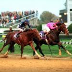Tiznow, the Two-Time Breeders' Cup Winner and Beacon of Hope After Sept. 11