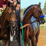 SLIDESHOW: Meet the 2018 Breeders' Cup Classic Contenders