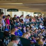 Noel’s Weekend Winners: Best Bets for Dirt Mile and Turf on Breeders’ Cup Saturday