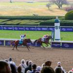 Where to Watch/Listen: Breeders’ Cup Week 2026