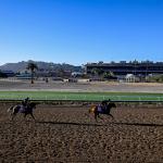 Four Favorites to Bet Against in 2025 Breeders’ Cup