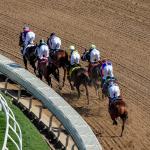 Historical Tips and Trends to Help Bet the 2025 Breeders’ Cup Distaff