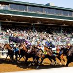 Baffert, Pletcher, and Upsets: What 15 Years of Data Says About Betting the 2026 Breeders’ Cup Juvenile