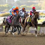 Byron King’s Derby Dozen for Jan. 22