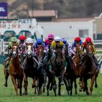2025 Breeders’ Cup Mile at a Glance