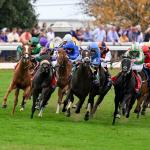 Can Anyone Beat Notable Speech? What 15 Years of History Say About the Breeders’ Cup Mile