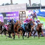 Using Eight Historical Trends Over 25 Years to Help Bet the Breeders’ Cup Mile 