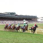 Eight Historical Trends and Tips to Help Bet the 2026 Breeders’ Cup Turf