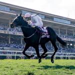 Ethical Diamond Shocks Breeders’ Cup Turf to Headline Saturday Undercard