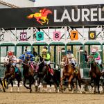 2026 Black-Eyed Susan Stakes at a Glance