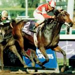 Bayakoa: Better With Age