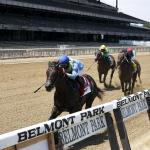 Best Bets: Holiday Plays at Belmont Park