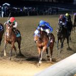 2026 Rachel Alexandra Stakes at a Glance