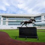 Live Longshots and Value Bets for Opening Day at Belmont Park