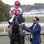 ‘Amazing Journey’ Has D’Angelo Sprinting Toward Breeders’ Cup Victory With  Bentornato
