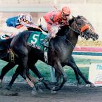 Remember When? A Triple-Digit Longshot Stunned Unbridled’s Song in 1996 Fountain of Youth