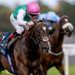 Ten International Horses to Know for the 2026 Breeders’ Cup