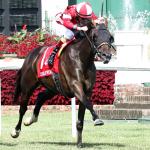 Why Burnham Square Can Earn a Grade 1 Win on Turf in Arlington Million