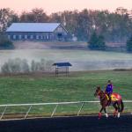 Can Forever Young Make Classic History? NBC Sports’ Randy Moss Chats 2026 Breeders’ Cup