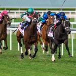 Pegasus Filly and Mare Turf Offers Golden Opportunity to Find Value 