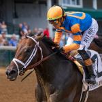 Live Longshots and Value Plays for the 2025 Breeders’ Cup
