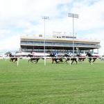 Where to Watch/Listen: Horse Racing Coverage Aug. 6-10
